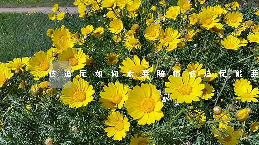 被追尾如何索要賠償(被追尾能要求什么賠償)