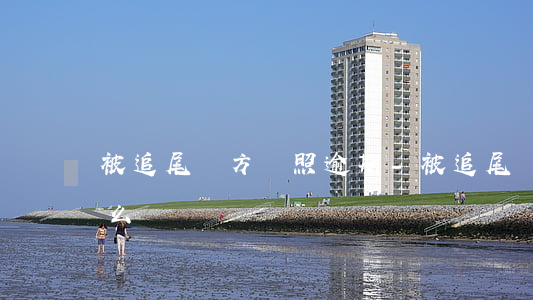 被追尾對方駕照逾期-被追尾駕駛證沒帶怎么辦
