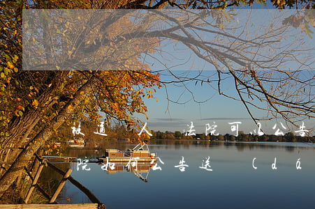 被通輯人員法院可以公告送達(dá)嗎(法院如何公告送達(dá))