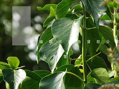 被逾期可以告貸款公司嗎(公司貸款逾期會有什么影響)