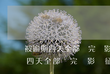 被逾期四天全部還完會影響征信嗎-被逾期四天全部還完會影響征信嗎知乎