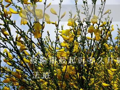 被逾期被起诉多久开庭-逾期多久会被告上法庭