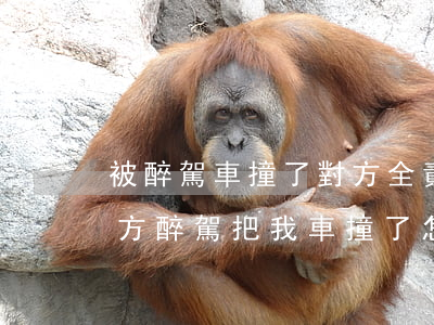 被醉駕車撞了對方全責(zé)怎么賠償(對方醉駕把我車撞了怎么賠償)