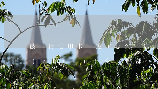 被銀行信用卡風控了怎么辦（信用卡逾期被轉(zhuǎn)交風控部門嚴重嗎）