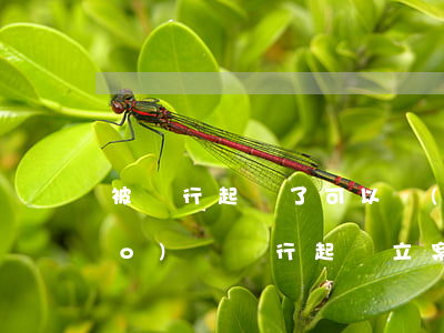 被銀行起訴了可以協(xié)調(diào)嗎(銀行起訴立案后還能協(xié)調(diào))