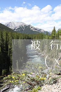 被銀行起訴了后逾期費能減免么 銀行逾期手續(xù)費可以減免嗎