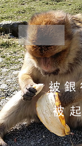 被銀行起訴了沒錢還怎么辦(銀行貸款沒錢還被起訴怎么辦)