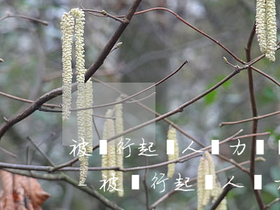 被銀行起訴人無力償還債務(wù)怎么辦-被銀行起訴人無力償還債務(wù)怎么辦理