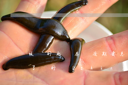 被銀行起訴房貸逾期要怎么辦(如果房貸逾期了,銀行準(zhǔn)備起訴怎么辦)