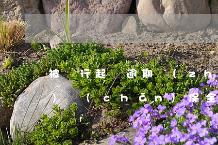 被銀行起訴逾期執(zhí)行財(cái)產(chǎn)保全(被起訴申請(qǐng)財(cái)產(chǎn)保全銀行卡會(huì)凍結(jié))