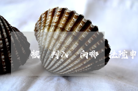 被錯判入獄向哪個法院申請國家賠償