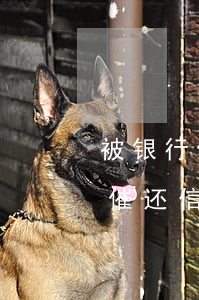 被银行催还信用卡,还不上,能怎么样-被银行催还信用卡,还不上,能怎么样