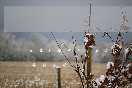 被银行起诉不去开庭会怎么样(银行起诉必须要到庭吗)