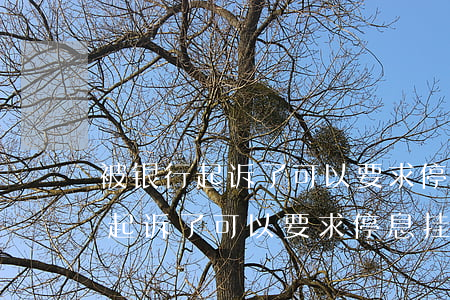 被银行起诉了可以要求停息挂账吗-被银行起诉了可以要求停息挂账吗怎么办