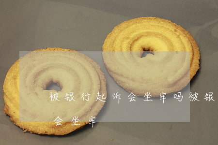被银行起诉会坐牢吗(被银行起诉没钱还会不会坐牢)
