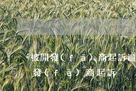 被開發(fā)商起訴逾期付款(欠房款被開發(fā)商起訴)