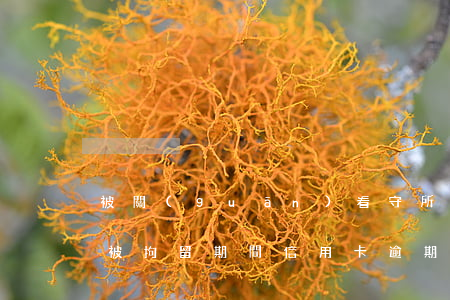 被關(guān)看守所信用卡逾期怎么辦(被拘留期間信用卡逾期怎么辦)