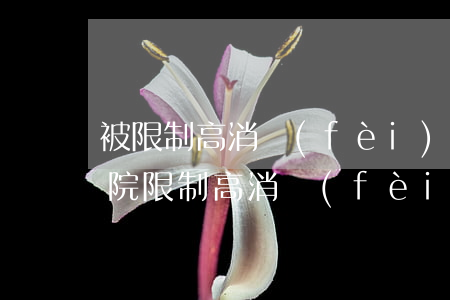被限制高消費(fèi)可以去法院嗎(被法院限制高消費(fèi)是怎么回事)