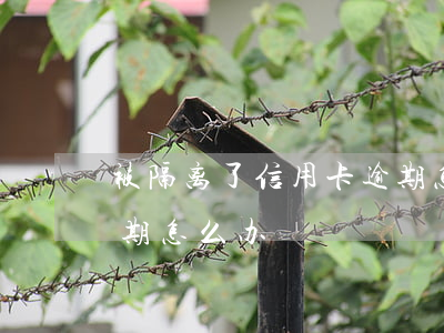 被隔离了信用卡逾期怎么办(被拘留信用卡逾期怎么办)