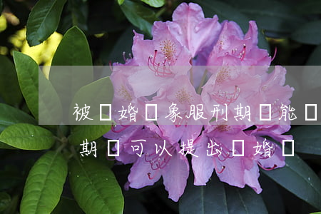 被離婚對象服刑期間能離婚嗎(服刑人員服刑期間可以提出離婚嗎?)