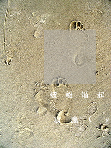 被離婚起訴后闡述的模板(離婚被起訴后如何寫應(yīng)訴書)
