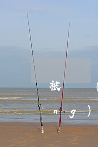 被電動(dòng)車撞了的事故經(jīng)過(guò)怎么寫(電動(dòng)車突然出來(lái)被車撞了責(zé)任怎么辦)