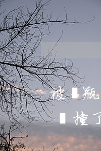被電瓶車撞了對方全責不給錢怎么辦(被電瓶車撞了對方全責不給錢怎么辦)
