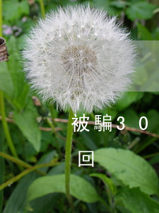 被騙3000元成功追回(被騙幾百元成功追回)