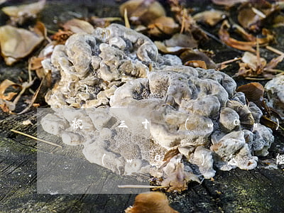 被騙三十萬(wàn)能追回嗎(被騙了三十萬(wàn)怎樣能追回錢)