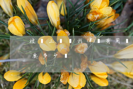 被騙三塊錢找律師有用嗎(錢被騙了請個律師要多少錢)