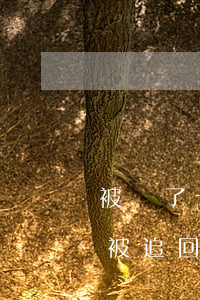被騙了十塊錢能被追回來嗎(被騙了十塊錢能被追回來嗎)