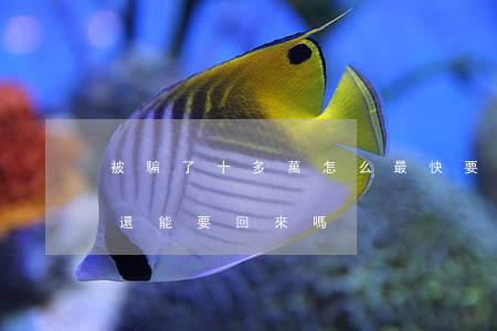 被騙了十多萬怎么最快要回錢(被騙了五十萬還能要回來嗎)