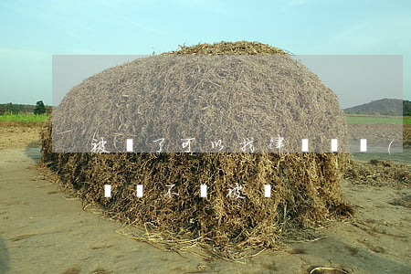 被騙了可以找律師嗎(網(wǎng)上找律師會不會被騙)