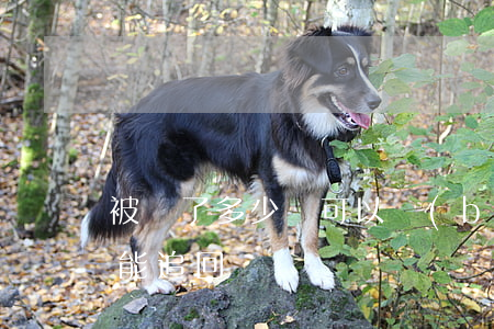 被騙了多少錢可以報(bào)警立案,怎樣能追回錢