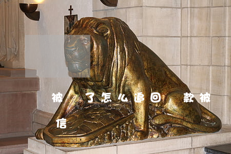 被騙了怎么追回錢款(被騙了怎么追回錢款微信)