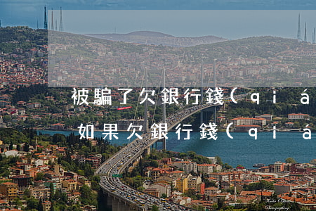 被騙了欠銀行錢(qián)還不上怎么辦(如果欠銀行錢(qián)還不上怎么辦)