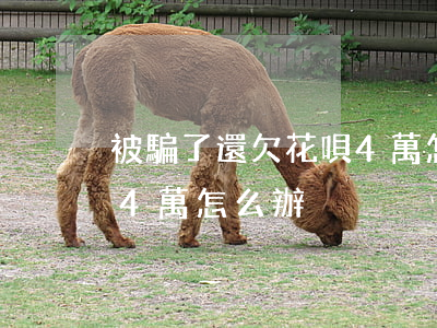 被騙了還欠花唄4萬怎么辦(被騙了還欠花唄4萬怎么辦)