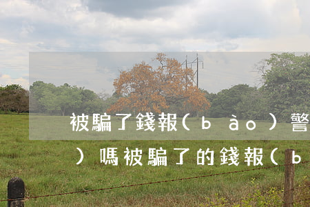 被騙了錢報(bào)警能追回來(lái)嗎(被騙了的錢報(bào)警能要回來(lái)嗎)