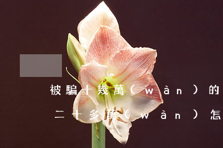 被騙十幾萬(wàn)的錢能追回嗎(被騙了二十多萬(wàn)怎么辦能追回來(lái)嗎)