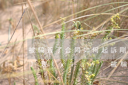 被騙簽了合同如何起訴(剛簽訂合同發(fā)現(xiàn)被騙怎么辦)