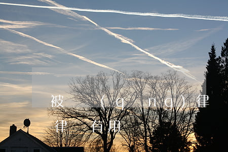 被騙請(qǐng)律師有用嗎(被騙了錢找律師有用嗎)