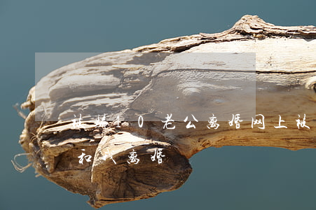 被骗10老公离婚(网上被骗了十几万,老公要和我离婚)
