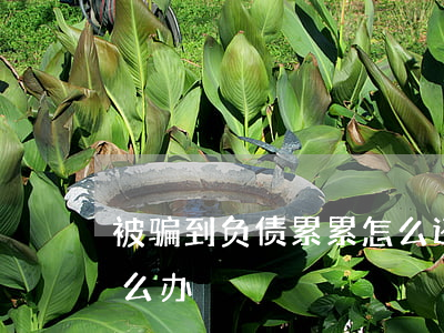 被骗到负债累累怎么还款-被骗负债累累怎么办