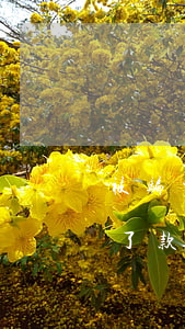 被骗当了法人贷款逾期(被骗当了公司法人贷了款)
