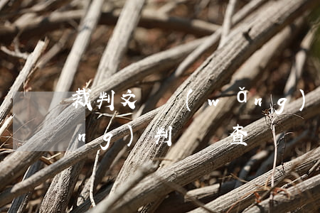 裁判文書網(wǎng)(裁判文書網(wǎng)判決書查詢)