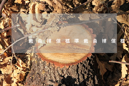 裁員補償標準(裁員補償標準n1)