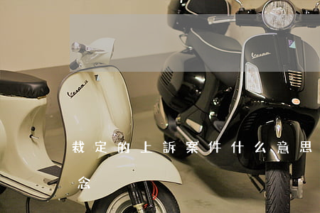 裁定的上訴案件什么意思(上訴案件的裁判概念)