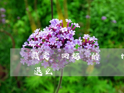 裁定駁回起訴的幾種情形（駁回起訴訴訟費會退么）