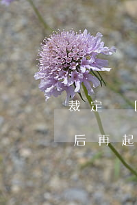 裁定駁回離婚起訴后是否須6個(gè)月后再起訴？