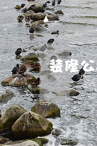 装修公司合同